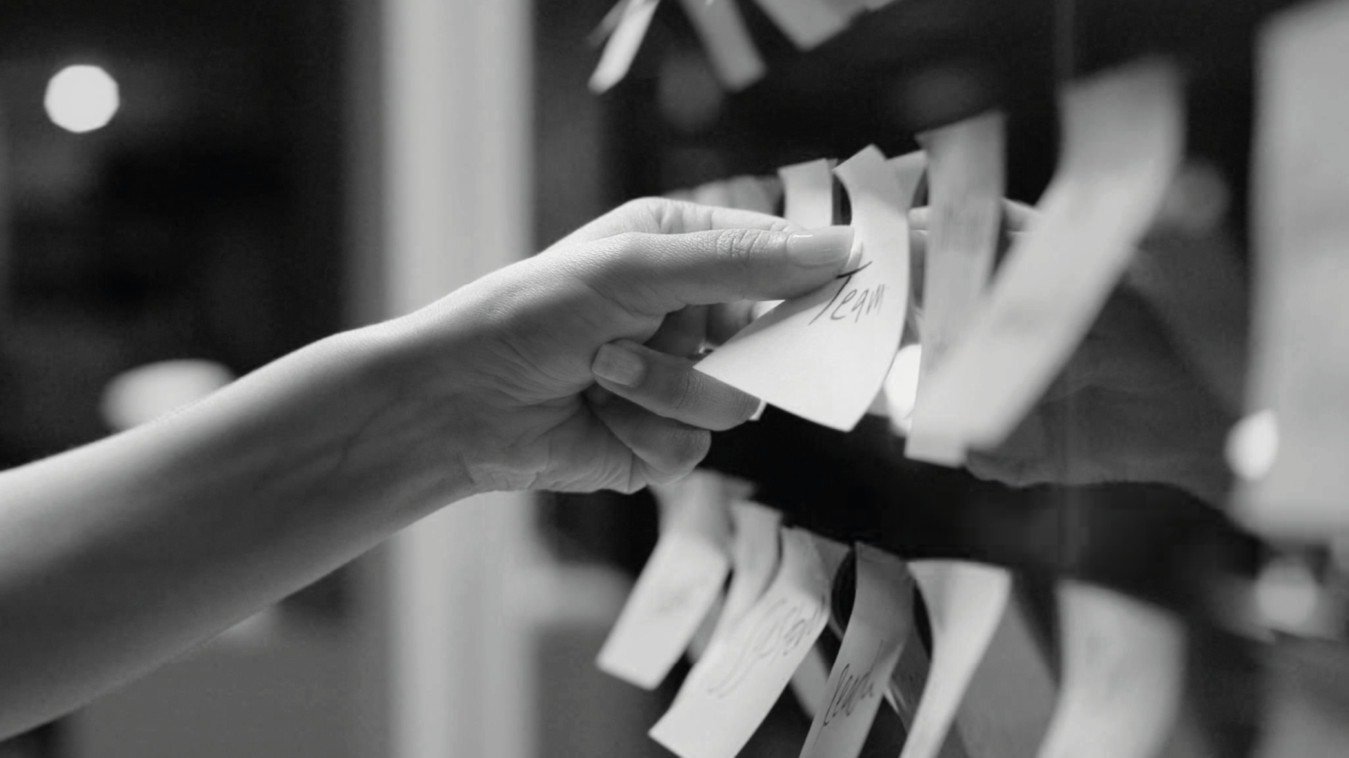 Galerie du campus de Bejaia 1